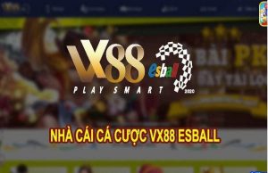 Đôi nét về nhà cái VX88 Esball